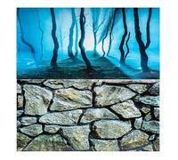 Hidom Aquarium Fish Tank Background Poster Double Sided Waterproof Backdrop Wallpaper Roll Tropical Ocean Aquatic Scenery for Fish Tanks & Aquariums - Height 24" / 60cm - Length 10 FT / 305cm