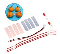 Hidyliu DIY Fruit Battery Kit for Kids Educational Science Experiment with Metal Materials and Random Color