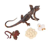 Hidyliu Frilled Lizard Figurine Set, Realistic Animal Growth Models for Children, Enhancing Imagination and Learning, 4pcs PVC Toys