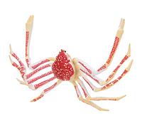 Hidyliu Vivid Simulated Crab Toy for Marine Life Theme Party and Learning - Eco-Friendly Plastic Sea Animal Model, 1 Unit (spider crab)