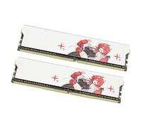 Hidyliu XMP2.0 DDR4 RAM 3600MHz Ultra Fast Memory Module for Gaming Desktop Computer 2 Pieces (16GB(2x8GB))