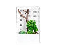 Hiemible Jumping Spider Enclosure,Clear Acrylic Box - Reptile Cage,for Praying Mantis Nesting Breeding Feeding Observation
