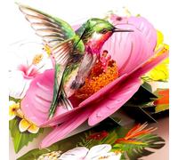 Hierein Birthday Cards for Women, 3D Hummingbird and Hibiscus Pop Up Birthday Card for Female, Wife, Sister, Daughter, Teacher, Happy Birthday Card, Anniversary Thank You Get Well Greeting Cards