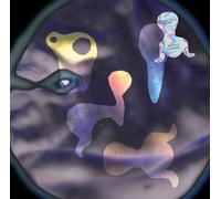 HIEROGLYPHIC BEING - QUADRIC SURFACES [VINYL]