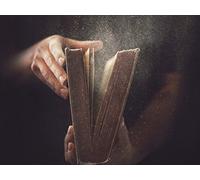 Hieroglyphs and the Bible