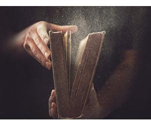 Hieroglyphs and the Bible