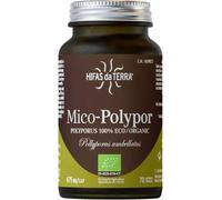 Hifas da Terra Hdt Mico Polypor Polyporus Hdt 70 Capsules