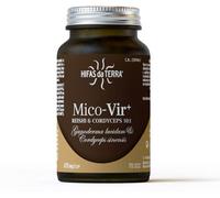 Hifas da Terra Hdt Mico-Vir Reishi-Cordyceps Hdt 70 Capsules