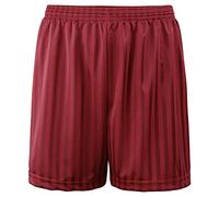Hiffy Kids Unisex Shadow Stripe Gym Sports Games School PE Shorts Age 2-13 Years (Maroon, 9-10 Years)