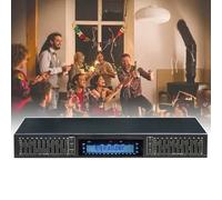 HiFi Home Equalizer, Stereo Equalizer (Dual 10-band), Independent Channels (High/Mid/Bass Adjustment), BT 4.0 + USB Flash Drive, WAV/WMA/APE/MP3, for Improve Sound,Black
