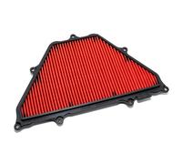 HiFlo Air Filter HFA1716