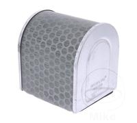 Hiflofiltro Air Filter - HFA1509