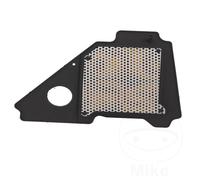 Hiflo Filtro AIR FILTER FOR YAMAHA YBR 125 ED etc. HFA4103 824225122695