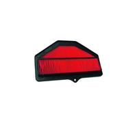 Hiflofiltro HFA3616 Premium OE Replacement Air Intake Motorbike Air Filter