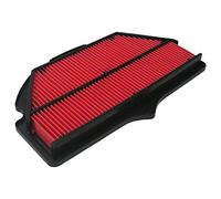 Hiflofiltro HFA3617 Premium OE Replacement Air Filter
