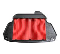 Filtro Aria Hiflo HFA1622