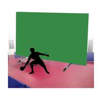 HIFRQVVC Foldable Table Tennis Court Fence Surround Baffles Table Tennis Field Fence Court Barrier Privacy Screen Multicolor Stainless Steel Pack of (1-10)(Green,2PCS)