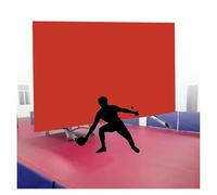 HIFRQVVC Foldable Table Tennis Court Fence Surround Baffles Table Tennis Field Fence Court Barrier Privacy Screen Multicolor Stainless Steel Pack of (1-10)(Red,6PCS)