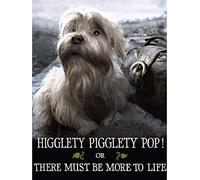 Higglety Pigglety Pop! or There Must Be More to Life