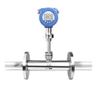 High Accuracy CO2 Nitrogen Ammonia Hydrogen LPG Gas Thermal Mass Flow Meter(DN25)