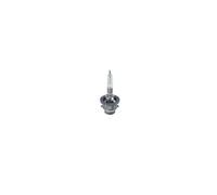 Bosch Bulb, headlight, ECO HID WS (D2R)
