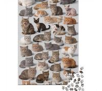 High Difficulty And Interesting 1000 Piece Jigsaw Puzzle Premium Paper Best Jigsaw Puzzles Many Cats Adult Puzzles Home Decor Family Bonding Activity Halloween 70x50cm/1000pcs