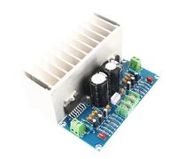 High Efficiency Digital Sound Amplifier Board 100Wx2 Featuring Advanced Cooling Technology for Professional Sound Systems Compatible