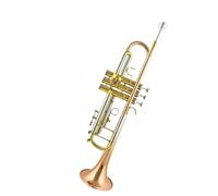 High-end Trumpet B Flat Trumpet Instrument Professional Performance Teaching Solo Grading