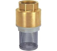 high Flow Water Filter, Pipeline Filter 1pcs Brass 304 Stainless Steel Mesh Bottom Valve Suction Pump Vertical Type with Net Check DN15 DN20 DN25 DN32 D(DN50)