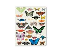 High Note 2026 Monthly Planner: August 2025 - December 2026, 7.75" x 9.75" Jess Poenix with Flexible Cover, Gold Foil, Project & Goal Planning Pages