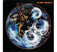High On Love - In My World [12" Vinyl]