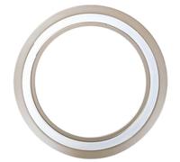 High-Performance Spiral Wound Gasket with 321SS Inner/Outer Ring and PTFE Filling for Extreme Environments(5Pcs 10'' DN250-300lb)