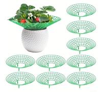 High Performance Strawberry Support Stand 10 Racks for Growing Healthy Strawberries and Tomatoes with Improved Ripening
