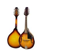 High Pitched Eight String Mandolin Instrument Beginner Adult And Professional Mandolin Kits(1)