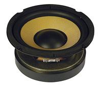 High Powered Woofer With Aramid Fibre Cone | 6.5" Driver, 8 Ohms, 250W