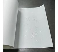 High-Precision Hydrophobic PTFE Polymer Filter with PET Backing - 260x230mm Air & Liquid Separation Solution(Pore Size 1μm)