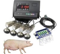 High Precision Livestock Scale Kit 5000kg - Backlight LCD Load Weighing Indicator, Steel Beam Compression Load Cell with 4-Wire Junction Box for Cattle, Pigs, Sheep