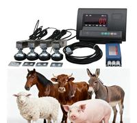 High Precision Livestock Scale Kit - Load Weighing Indicator and Load Cell Platform for Weighing Cattle, Sheep, Pigs, Goats
