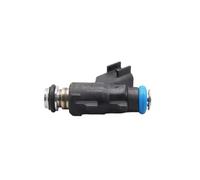 High Pressure Fuel Injector for Savana for Silverado for Sierra for 6.0 8PCS Fuel Injectors OEM:12613412 28102455 2173412 Fuel Injector Nozzle