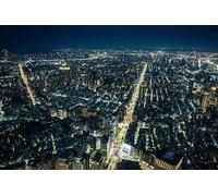 High-rise buildings at night-Adult 2000-Piece Wooden Puzzle Boards, Classic Challenge, Impossible 14 years+