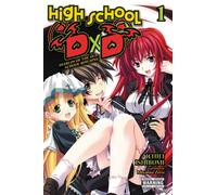 High School DxD, Vol. 1 (light novel)