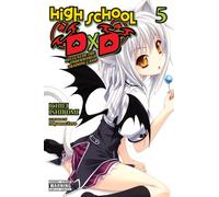 High School DxD, Vol. 5 (light novel): (HIGH SCHOOL DXD LIGHT NOVEL SC)
