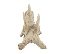 High Simulation Dinosaur Skull Model for Education, Perfect Dinosaur Enthusiast, Resin Decorative Craft Display