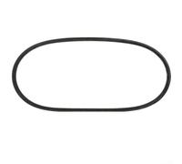 High Strength Rubber Belt Set For Golf Cart For Ds Models From 1997 And For Precedent From 2004 Replacing Oem Numbers 1016203 And 101916701(A)