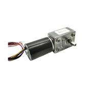 High Torque JGY-2838 12V Brushless electronic starter DC Worm Geared electronic starter Reversed Self-lock Turbo-reducing Built-in Driver BIANMTSW(24V 4rpm)