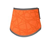 High visibility dog bandana Back on Track Draco