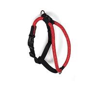 High5Dogs, Orange Ergonomic Outdoor Harness, Adjustable from 51 to 61 cm, with Padded Straps and Reinforced Safety, Size S-M, Orange, Leisure Rope Model