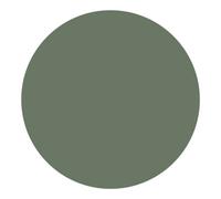 Highcovercaps Self Adhesive Screw Hole Covers Cap, 700 Pieces/5 Sheets, 12mm, Waterproof Stickers For Furniture(Smoke Green)