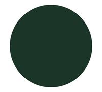 Highcovercaps Self Adhesive Screw Hole Covers Cap, 700 Pieces/5 Sheets, 12mm, Waterproof Stickers For Furniture(Fir Green)