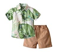 Highdi Baby Boys Kids Beach Style Shirt and Shorts Sets, Summer Button Tropical Plant Print Top + Casual Shorts Outfits 2pcs for 1-6Years Birthday Vacation Holiday Party (Green,90cm)